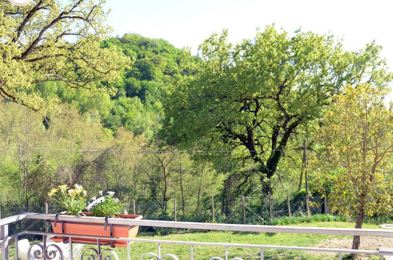리에티 Rifugio Nel Bosco B&B 외부 사진