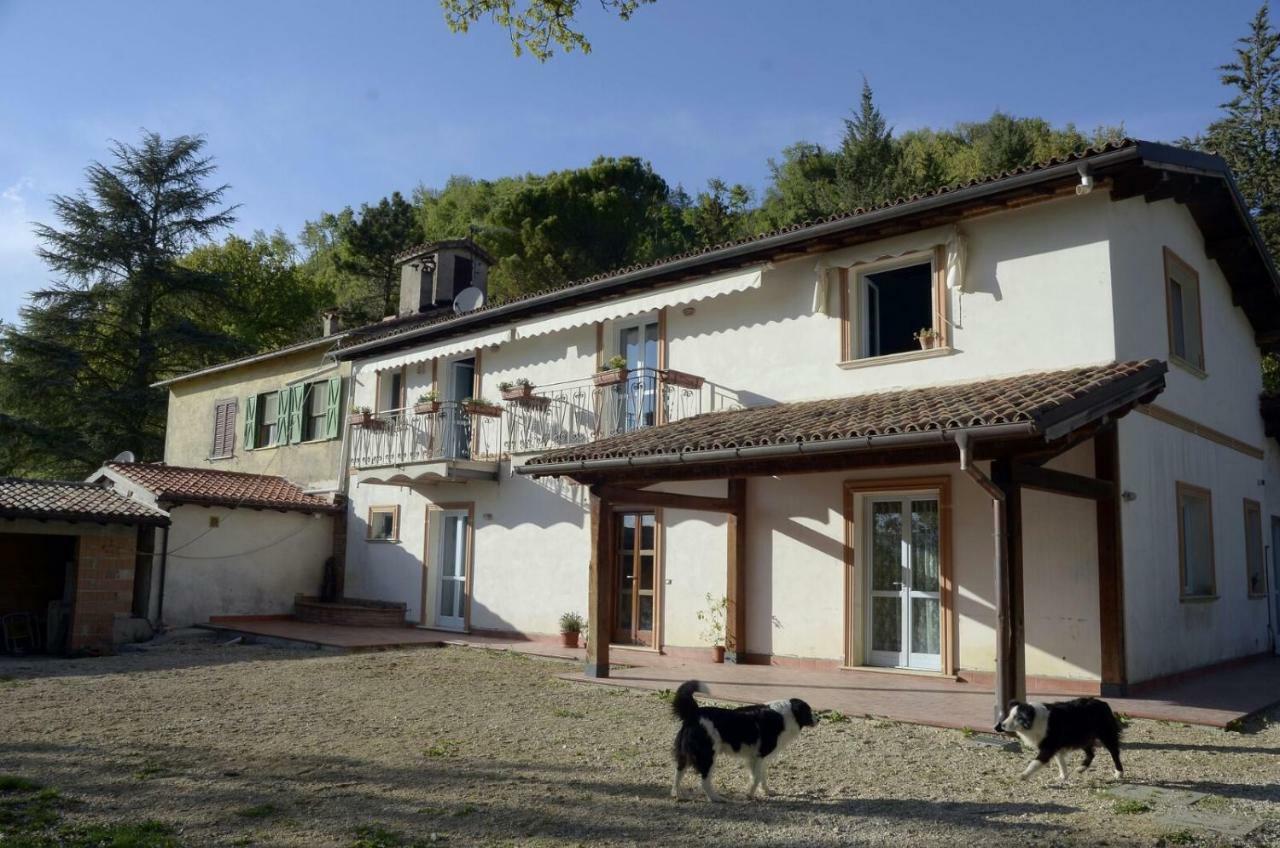 리에티 Rifugio Nel Bosco B&B 외부 사진